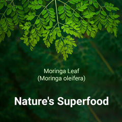 Moringa Leaf